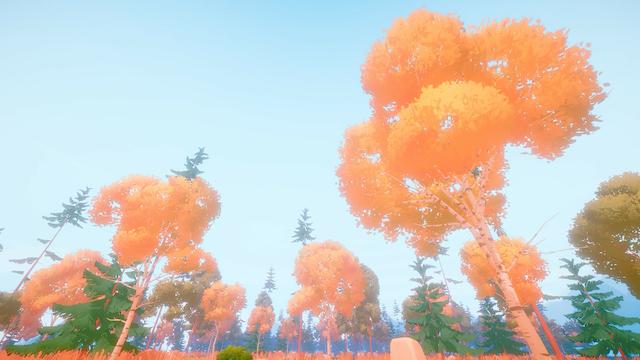 Image for the game Woodland Hike