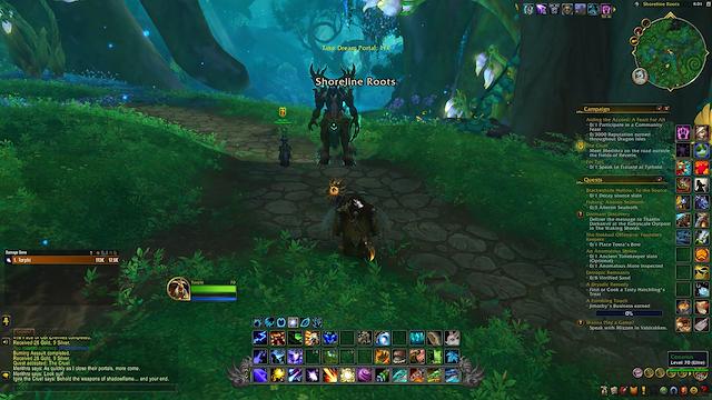 Image for the game World of Warcraft: Dragonflight - Guardians of the Dream