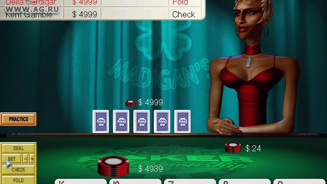 Image for the game World Poker Championship