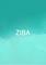 Cover image for the game Ziba